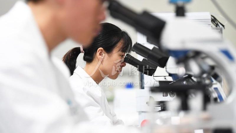 成都离心管批发价格：揭秘实验室耗材的“性价比”密码**