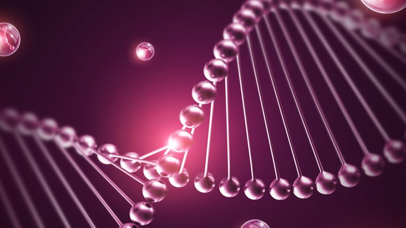 成都生物科技公司招聘：人才战略助力行业发展**