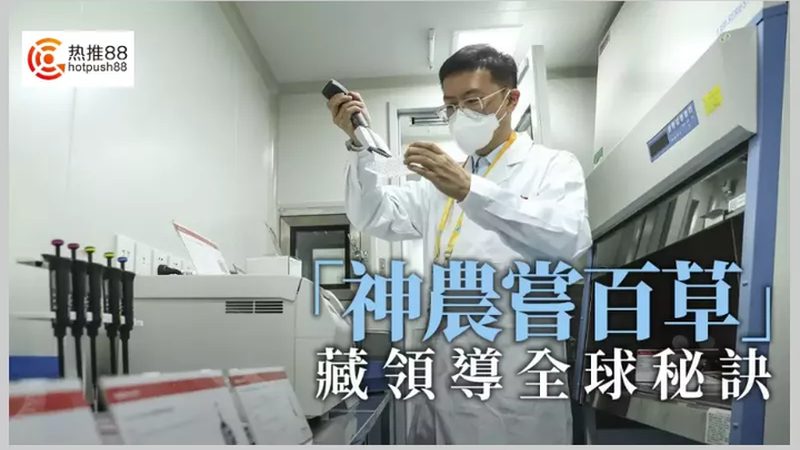 CRS优化服务：成本效益的深度解析**