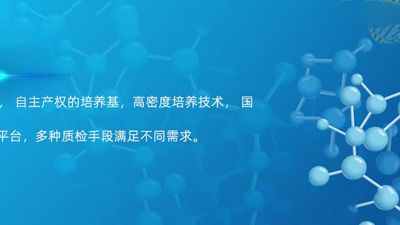 CRO优化服务合同范本：构建医药研发合作新标杆