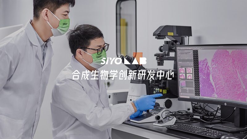 解码治疗性抗体：分类解析与价格考量