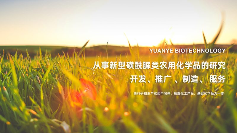 国产生物制品价格表：揭秘背后的市场逻辑**