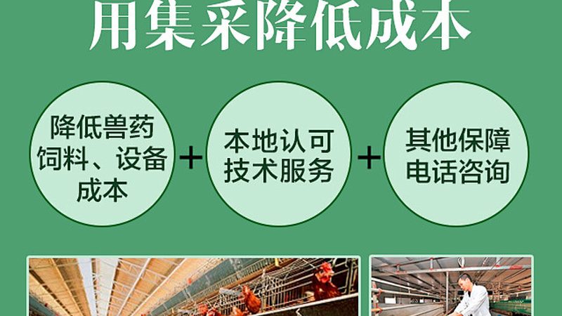 耐高温酶制剂：如何评估性价比与选择合适产品**