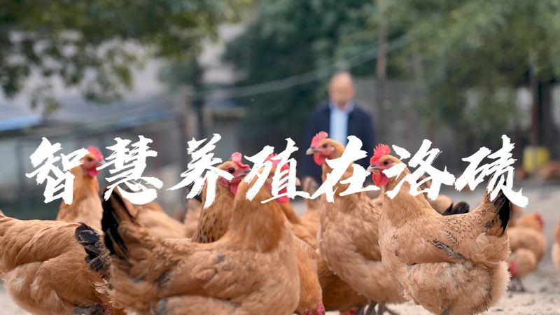CDMO企业规模如何对比：揭秘医药外包市场的“隐形规则