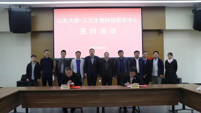 高保真聚合酶与快速酶：性能差异与选择要点